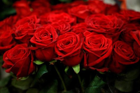 Red roses are displayed in a flower shop ahead of Valentines Day in Paris, France, February 12, 2021.  REUTERS/Sarah Meyssonnier    NO RESALES. NO ARCHIVES