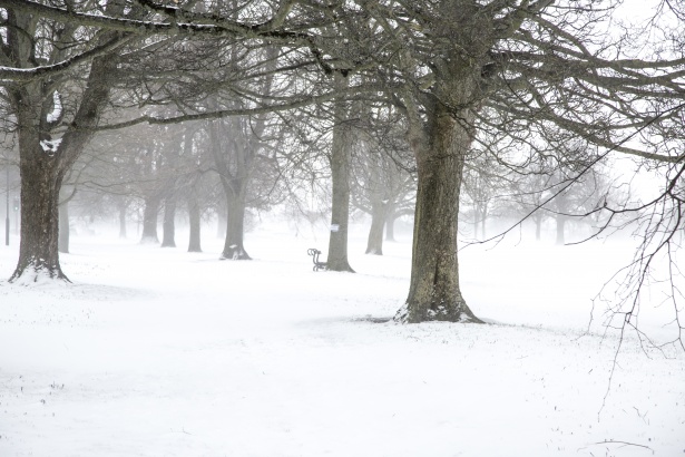 Boom Goes the Blizzard: The Science Behind the Storm