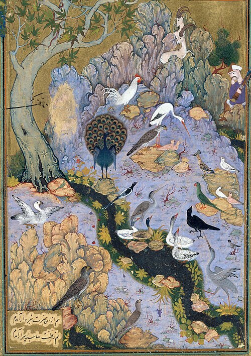 The Simurgh